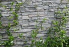 Ashfield QLDgreen-walls-4.jpg; ?>